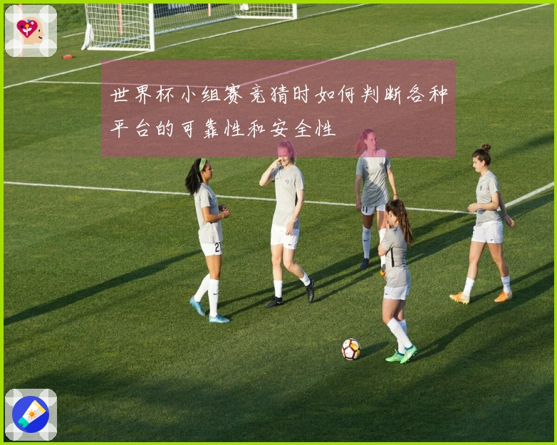 世界杯小组赛竞猜时如何判断各种平台的可靠性和安全性
