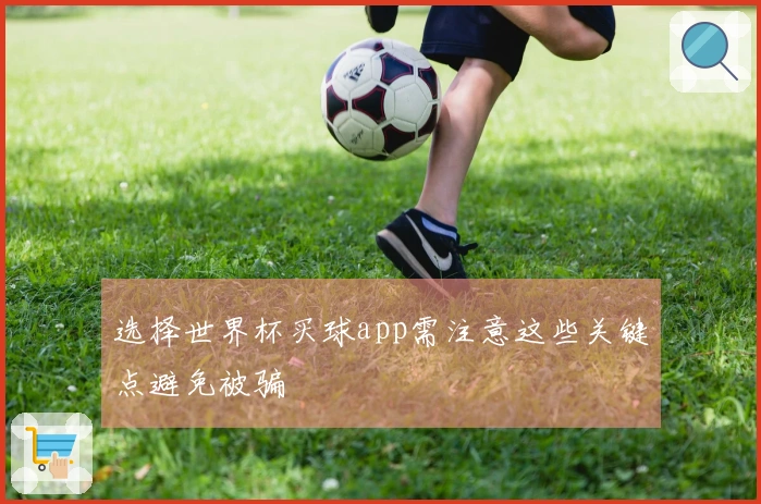 选择世界杯买球app需注意这些关键点避免被骗