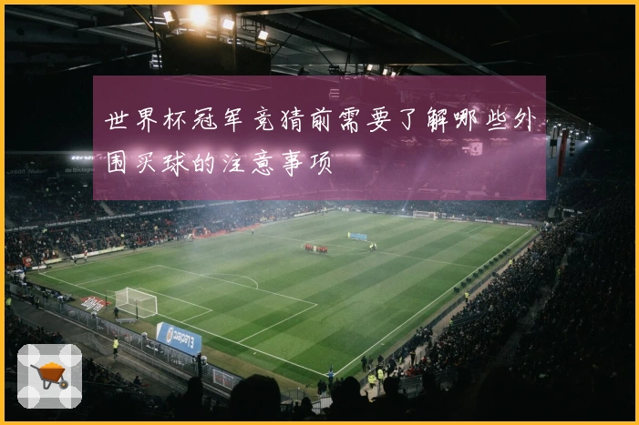 世界杯冠军竞猜前需要了解哪些外围买球的注意事项